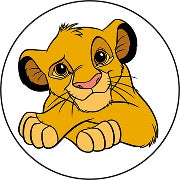 Il Re Leone